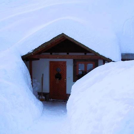 Treti Chalupa U Smrciny Janske Lazne Exterior foto